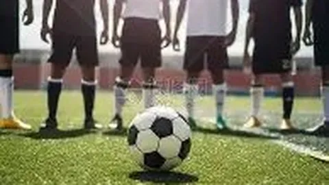 亚洲羽毛球混团锦标赛：中国新军力斩银牌