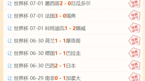 2026年美图公司上半年财务报告彩票投注：收入221亿，净利润65亿关键数据曝光